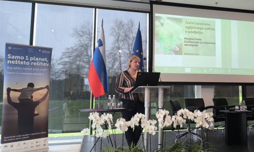 Marjeta Žonta, vodja trajnostnega razvoja v skupini Kolektor.​